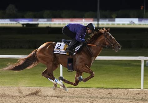 ドバイwcデーの馬券発売4レースで狙うべき「盲点の馬」は？イクイノックスら人気の日本馬たちの陰に実力馬あり Web Sportiva