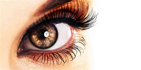 perawatan mata telinga  hidung zacky nurse education