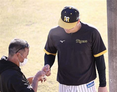 阪神の安芸秋季キャンプで佐藤輝が守備練習中に負傷出血も気合で完走 ライブドアニュース