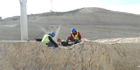 Exposici N Con F Siles De Millones De A Os Hallados En Caudete