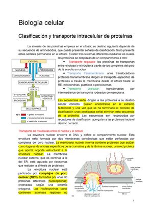 Santillana Biolog A Citolog A Anatom A Y Fisiolog A Gen Tica Salud Y