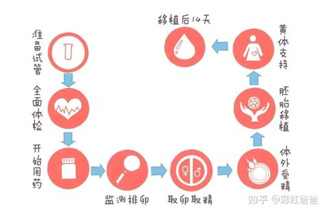 2023年试管婴儿全流程介绍 知乎