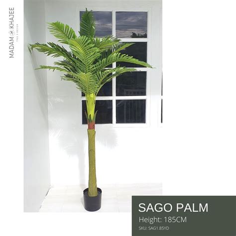 Faux Sago Palm Height 185 Cm Madam Khajee Premium Artificial Plants