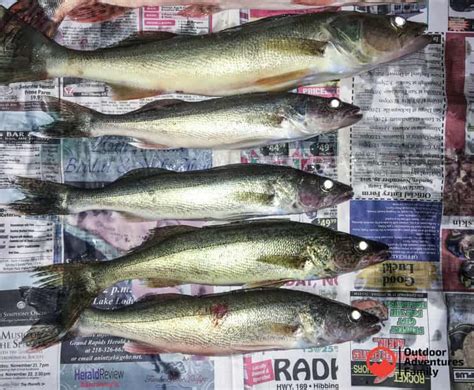 How to Fish for Walleye - Must Have Mom