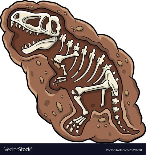 Cartoon t rex dinosaur fossil vector image on VectorStock Fósiles de