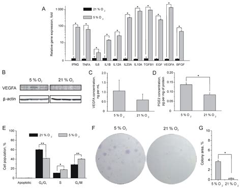 Ijms Free Full Text Tissue Oxygen Adaptation Of Bone Marrow Derived