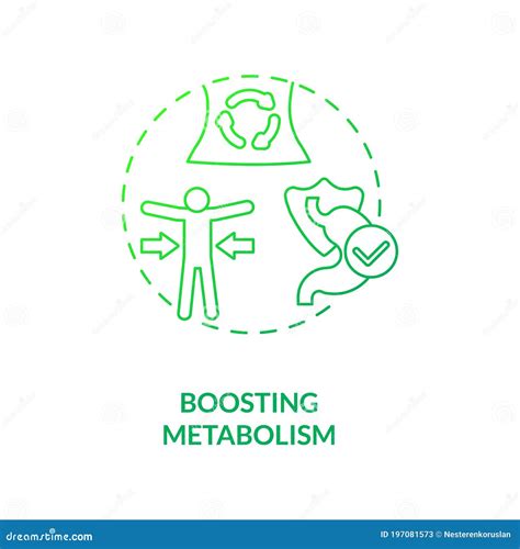 Metabolism Concept Vector Illustration Diagram Biochemical Body Cycle