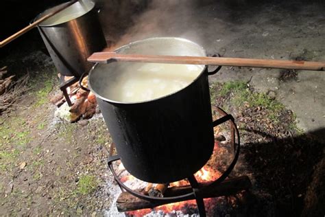 La Fava Parada Tornar A Triomfar A La Festa De Carnaval De Galilea