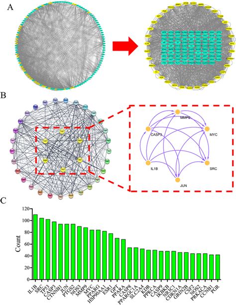 Protein Protein Interaction PPI Network Of DDT Target For The