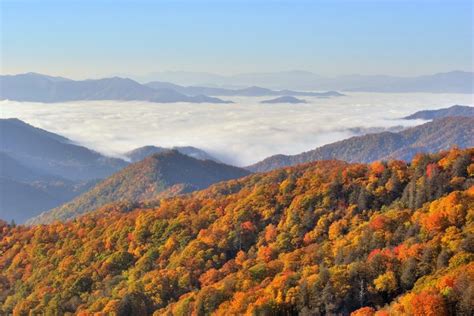 The Best Time To Visit Great Smoky Mountains National Park