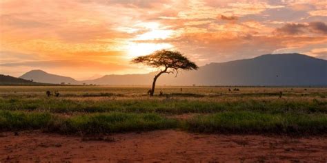 Top Reasons Why You Should Visit Kenya Staysure