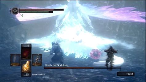 Dark Souls Fun Part Seath Vs Soulz Round Who S The Bigger A Hole