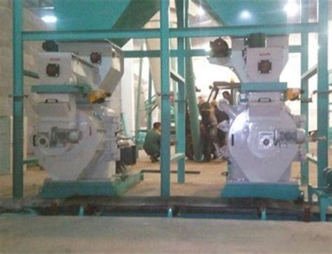 T H Sawdust Pellet Production Line Sawdust Pellet Plant Sawdust