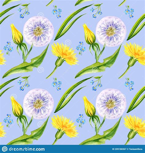 Seamless Pattern Hand Draw Watercolour Flowers Dandelions Herbs