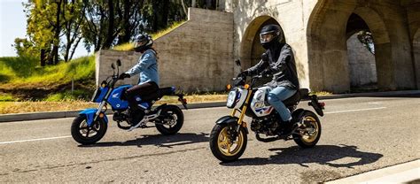 Honda Grom Buying Guide Motorcycles On Autotrader