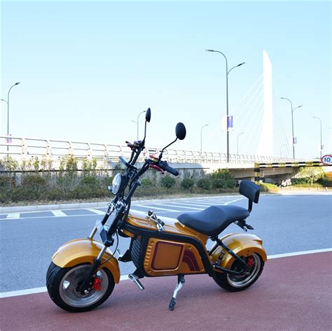 GaeaCycle Hulk Electric Motorcycle Wholesale Price EEC COC 1500w 2000w