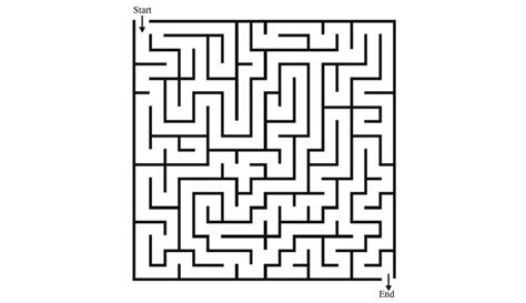 Blueberry Maze Puzzle