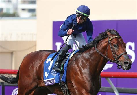 2024 Breeders' Cup ─ Things You Need To Know For This Year's Race ...