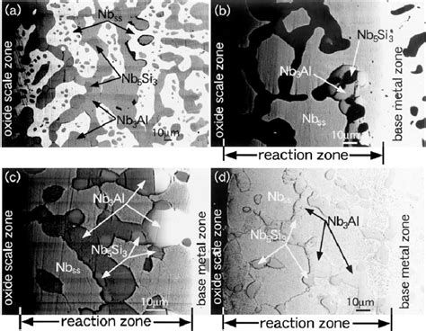 Reaction Zone Formed In Isothermal Oxidation Tests In Air A