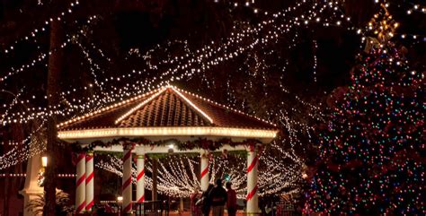 Top 10 ways to see the Nights of Lights holiday spectacular in St ...