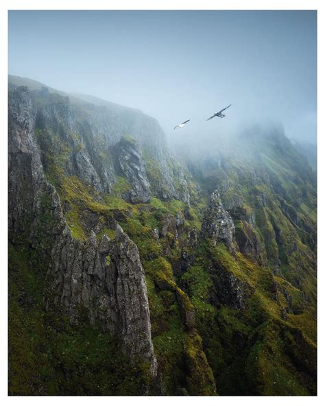 Shainblumphotography Instagram On Pinno Soaring Around The Lush