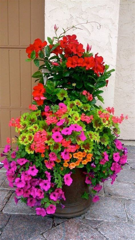 Good Flowering Plants For Outdoor Pots At Howard Decker Blog