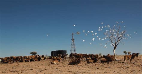 New Ceo For Napco Queensland Country Life Qld