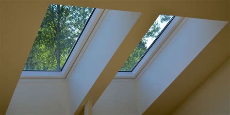 Top 5 Most Common Types of Skylight Roofing Materials- Lyon