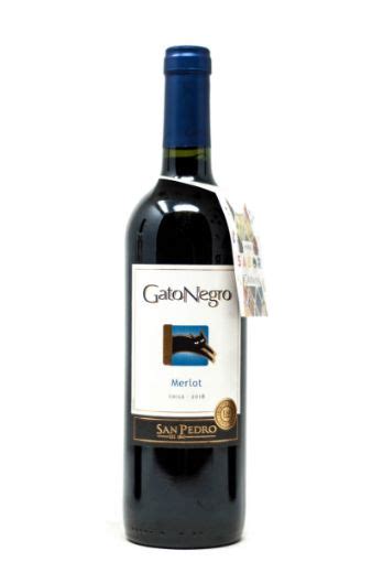 VINO TINTO GATO NEGRO MERLOT 750 ML San Carlos