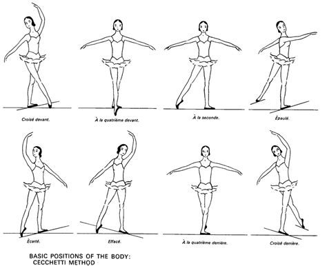 Ballet Positions Diagram | Quizlet