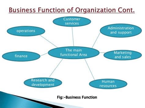 Business Function In Organization