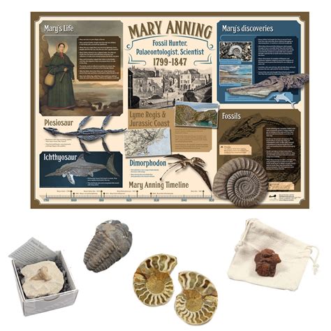 Mary Anning Fossil Pack – Teachtastic Education