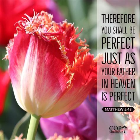 Therefore You Shall Be Perfect Just As Your Father In Heaven Is