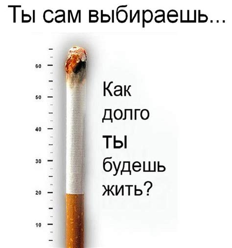 Факты о вреде курения — СПб ГБУЗ Кожно-венерологический диспансер №11