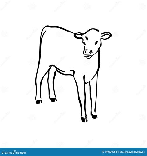 Hand Drawn Cow Calf Sketch Illustration Vector Black Ink Drawing Farm