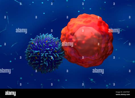 Leucemia Delle Cellule Umane Immagini E Fotografie Stock Ad Alta