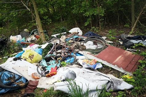 Powinni zwiększyć kary za zaśmiecanie lasów i plaż Kto za