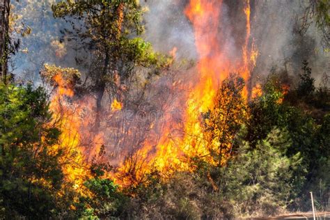 Flames Of Forest Fire Near Marmaris Resort Town Of Turkey Stock Photo