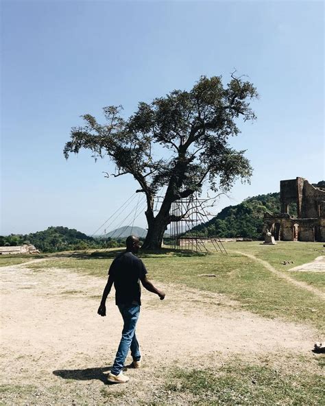 Jerome Galland On Instagram L Arbre De La Justice Du Roi Henri Au