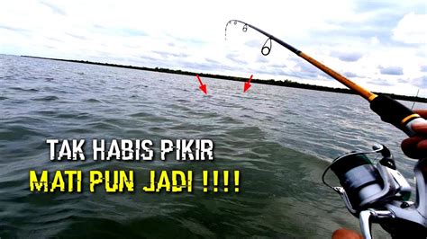 Mancing Di Sini Jangan Bawak Udang Hidup Gak Akan Laku Gak Percaya