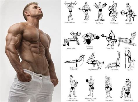 Execute Muscular Strength Exercises For Perfect Body | Muscular ...