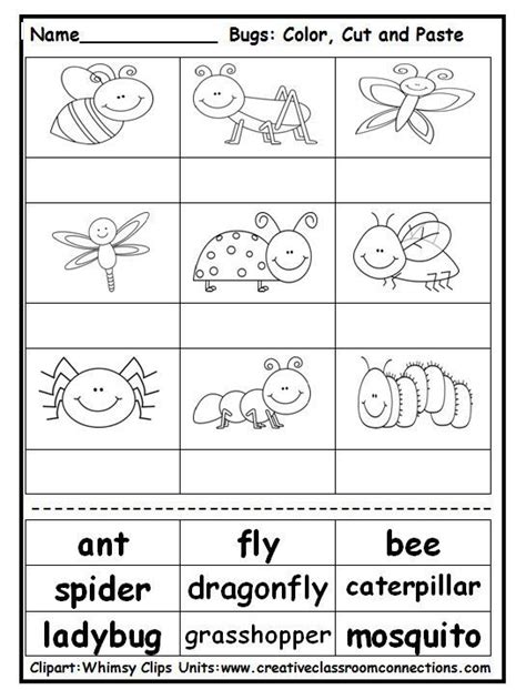 Insect Activities For Kindergarten Pages