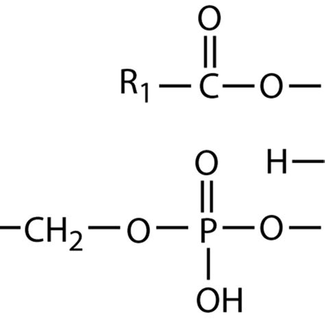 Structure of phosphatidylcholine | Download Scientific Diagram