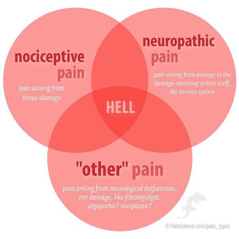 The 3 Basic Types Of Pain Artofit