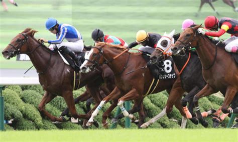 【毎日ベスト3】日刊スポーツdb班が選ぶ土曜午後から買いたい馬ベスト3 毎日ベスト3 競馬コラム 日刊スポーツ