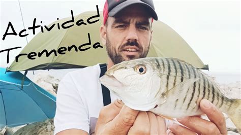 PESCA SURFCASTING ESCOLLERA BUENA ACTIVIDAD VARIEDAD DE PECES