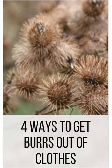 4 Ways To Get Burrs Out Of Clothes Step By Step Guide