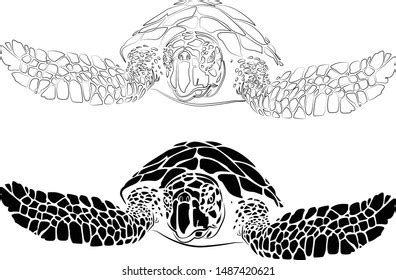 Graphic Sea Turtlevector Illustration Sea Turtle Stock Vector Royalty