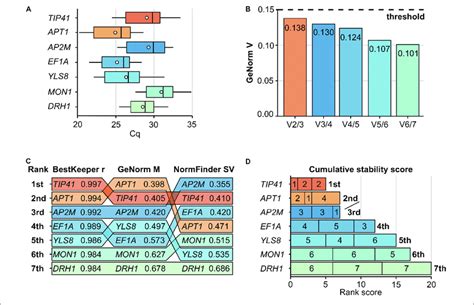 Determination Of The Optimal Set Of Reference Genes During A Pilot