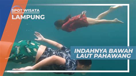 Berenang Menikmati Keindahan Bawah Laut Pahawang Lampung